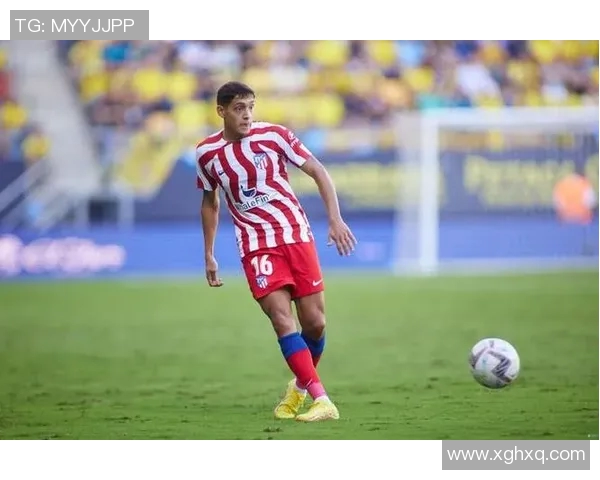 国米密切关注阿根廷右后卫莫利纳引发转会市场热议