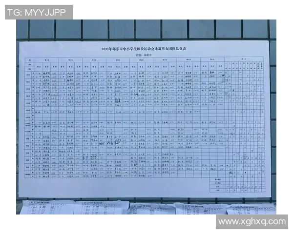 田径赛事达标情况分析与总结以及未来发展建议