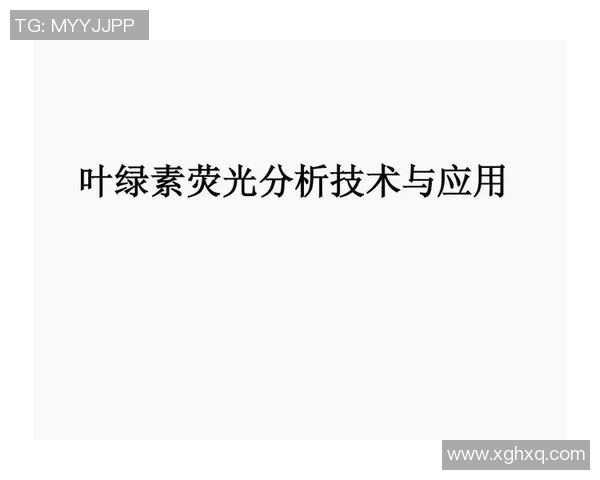 Coco回防配合策略探讨与实战应用分析